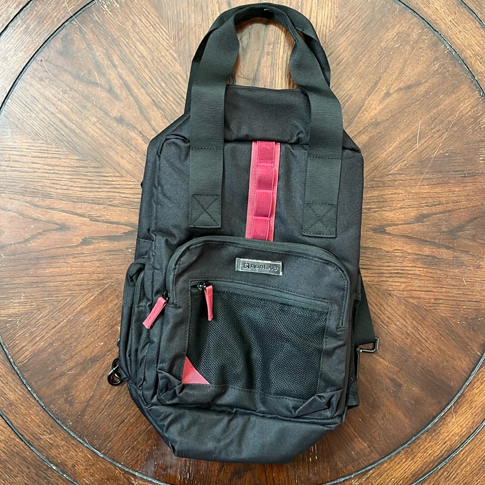 Insulated Lunch Bag Backpack NWT
